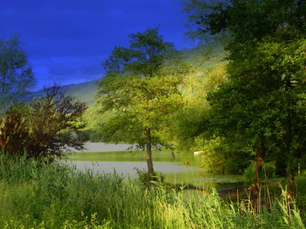 Gite Les Platanes Sainte-Helene-du-Lac 외부 사진
