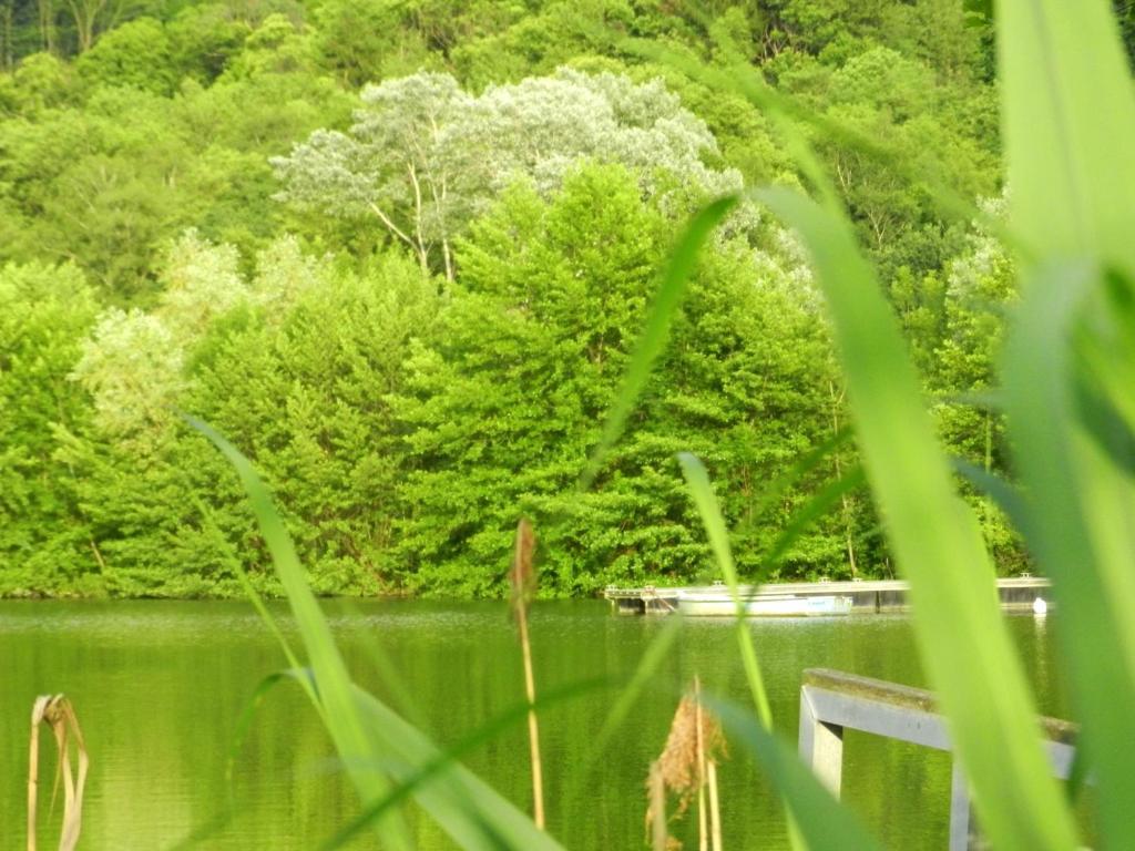 Gite Les Platanes Sainte-Helene-du-Lac 외부 사진